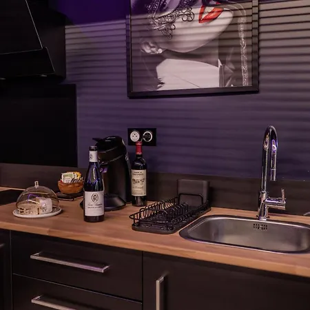 Διαμέρισμα Espace Evasions Loft Τουλούζη